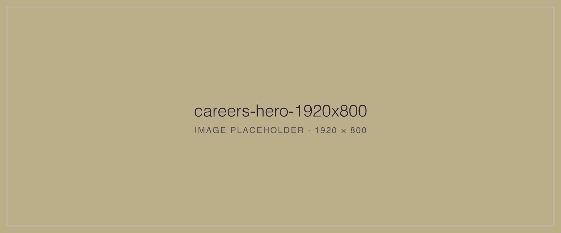 Careers Hero (1920×800 placeholder)