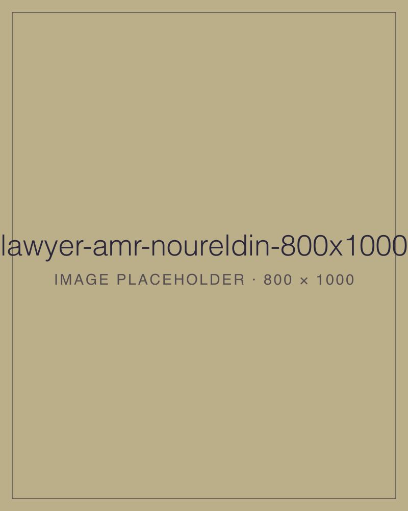 Amr Noureldin