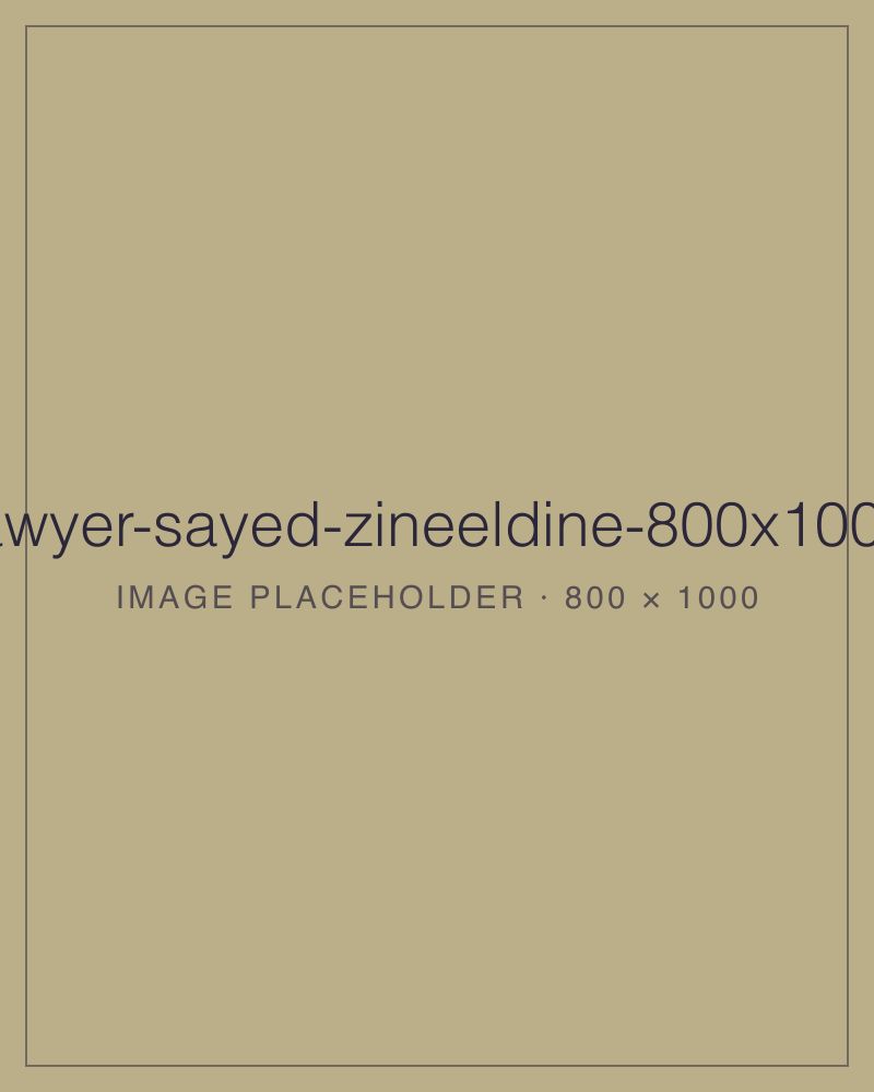 Sayed Zineeldine